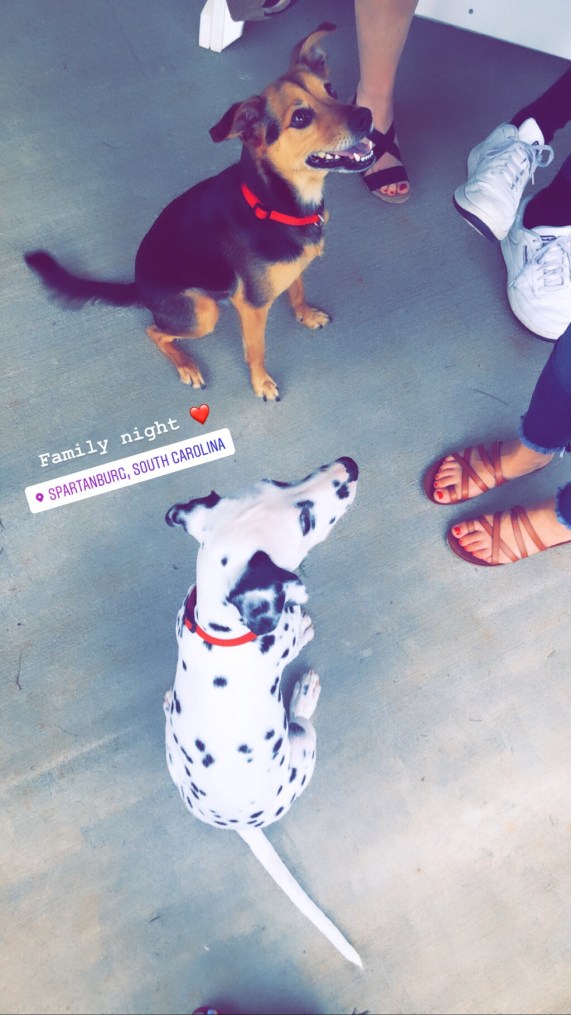 994f51f7-9a2e-402e-b266-1dd0216e3de3