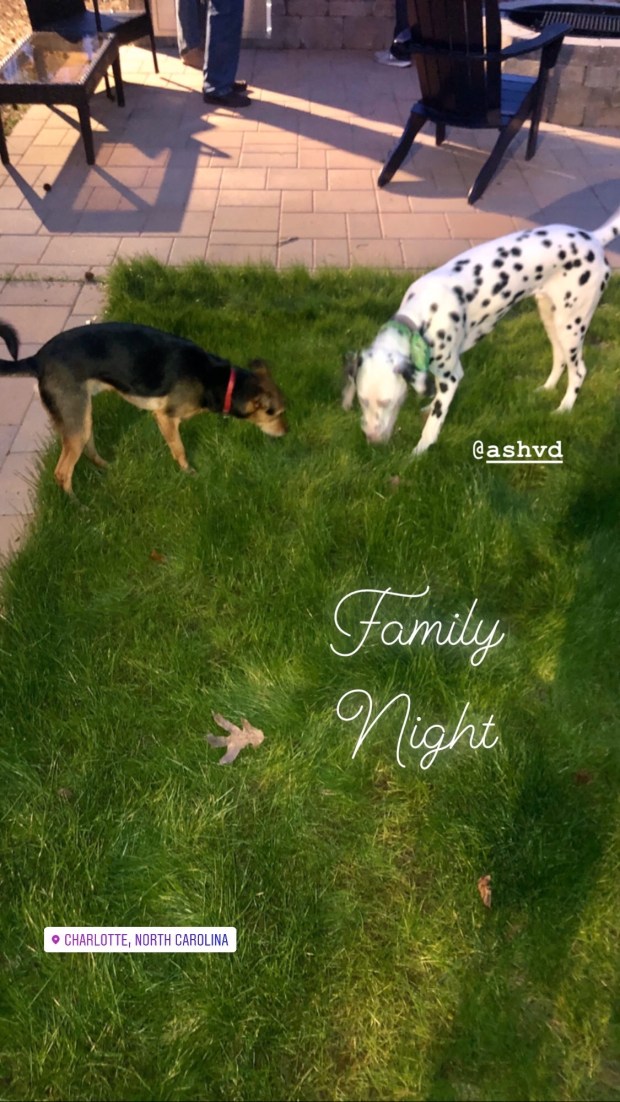 f59f1c7b-5e20-4ca7-bae4-bf26581a4b61