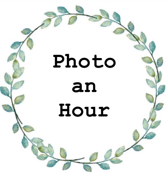 538bd264-099a-4a37-a2a3-2cd3144f9269