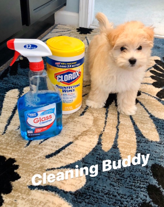 a23d5610-59a6-43e1-a9bf-e8d24e50b40c